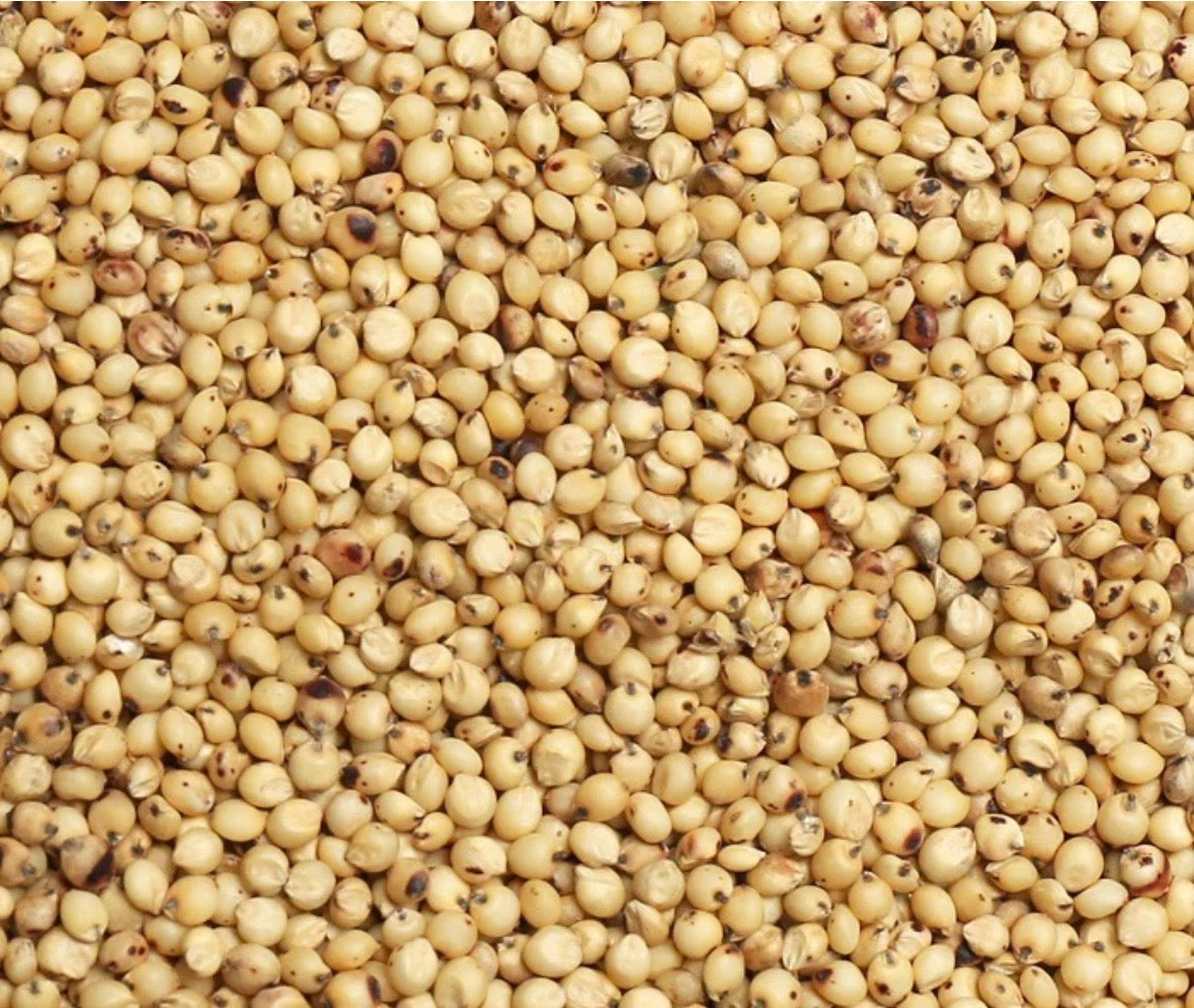 Milo (bird seed) 50# bag