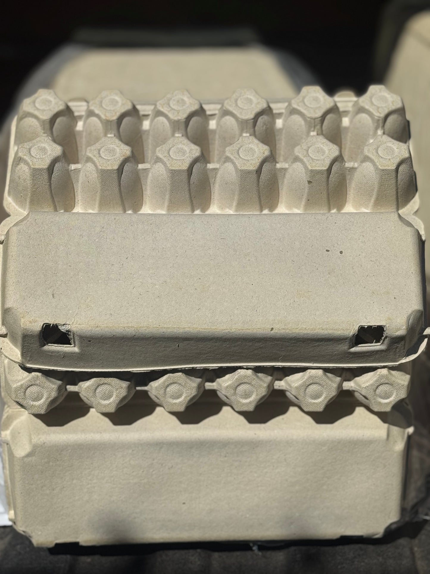 Blank Egg Cartons (125 cartons)