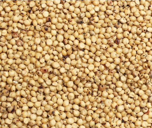 Milo (bird seed) 50# bag