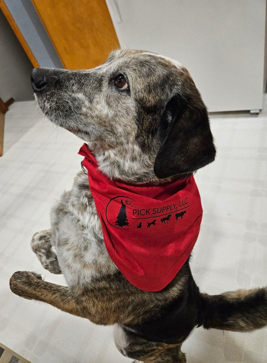 Doggie Bandana
