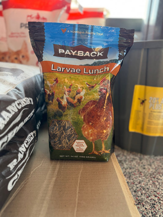 Larvae Lunch (24 oz bag)