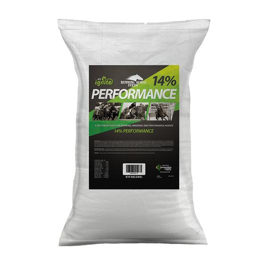 Running Horse 14% PERFORMANCE HORSE - TEXTURIZED