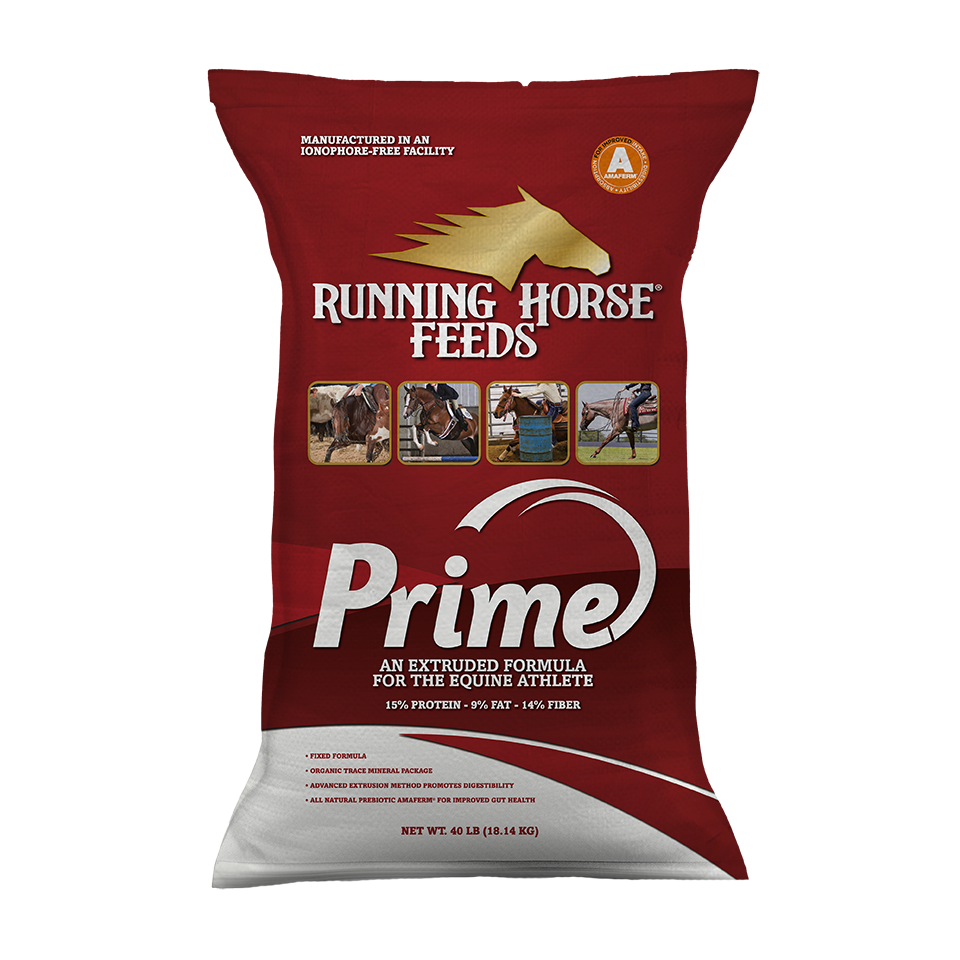 Running Horse PRIME 15-9-14