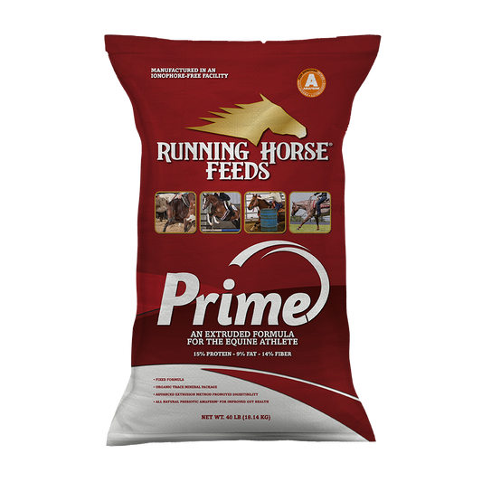 Running Horse PRIME 15-9-14