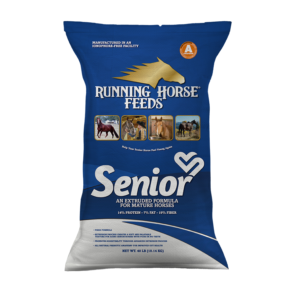 Running Horse SENIOR 14-7-19