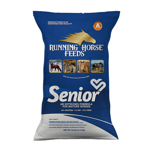 Running Horse SENIOR 14-7-19