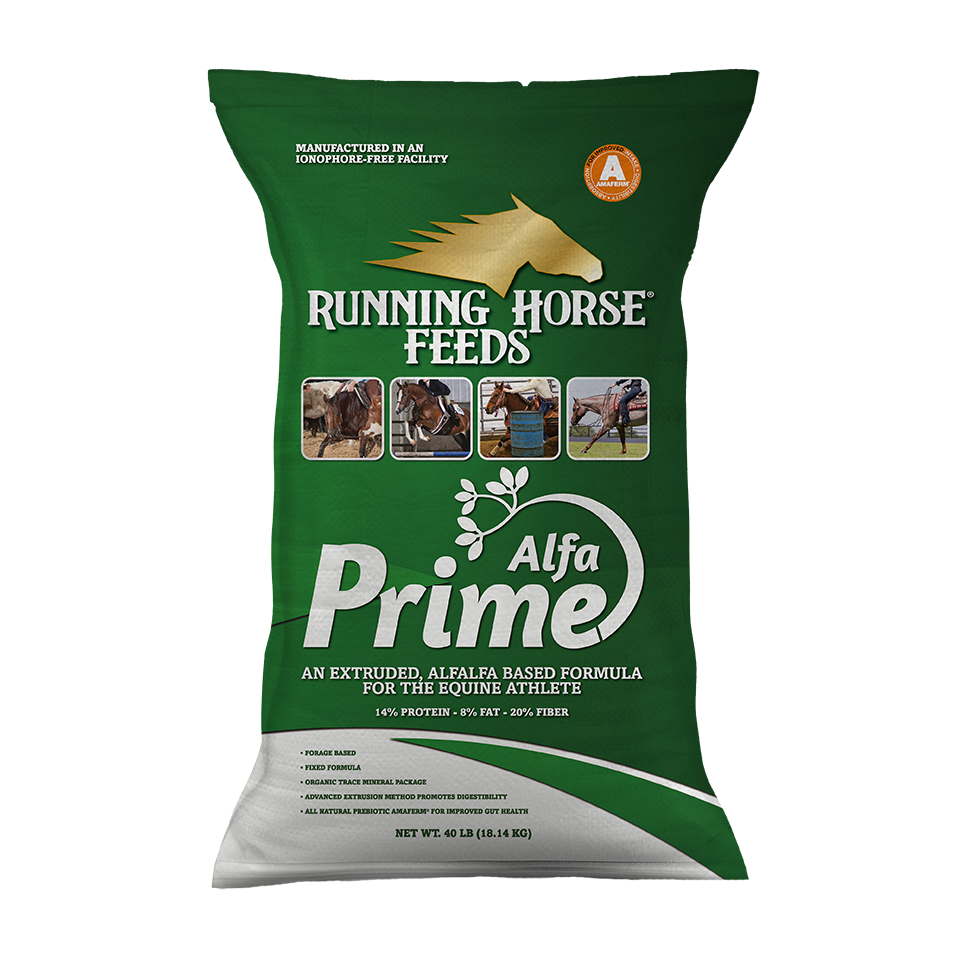 Running Horse ALFA-PRIME 14-8-20