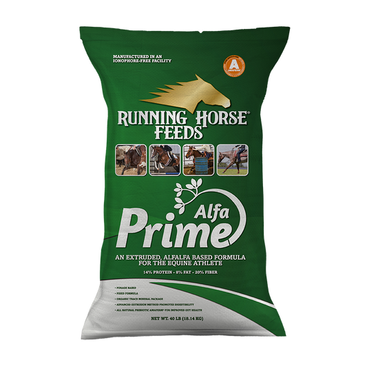 Running Horse ALFA-PRIME 14-8-20